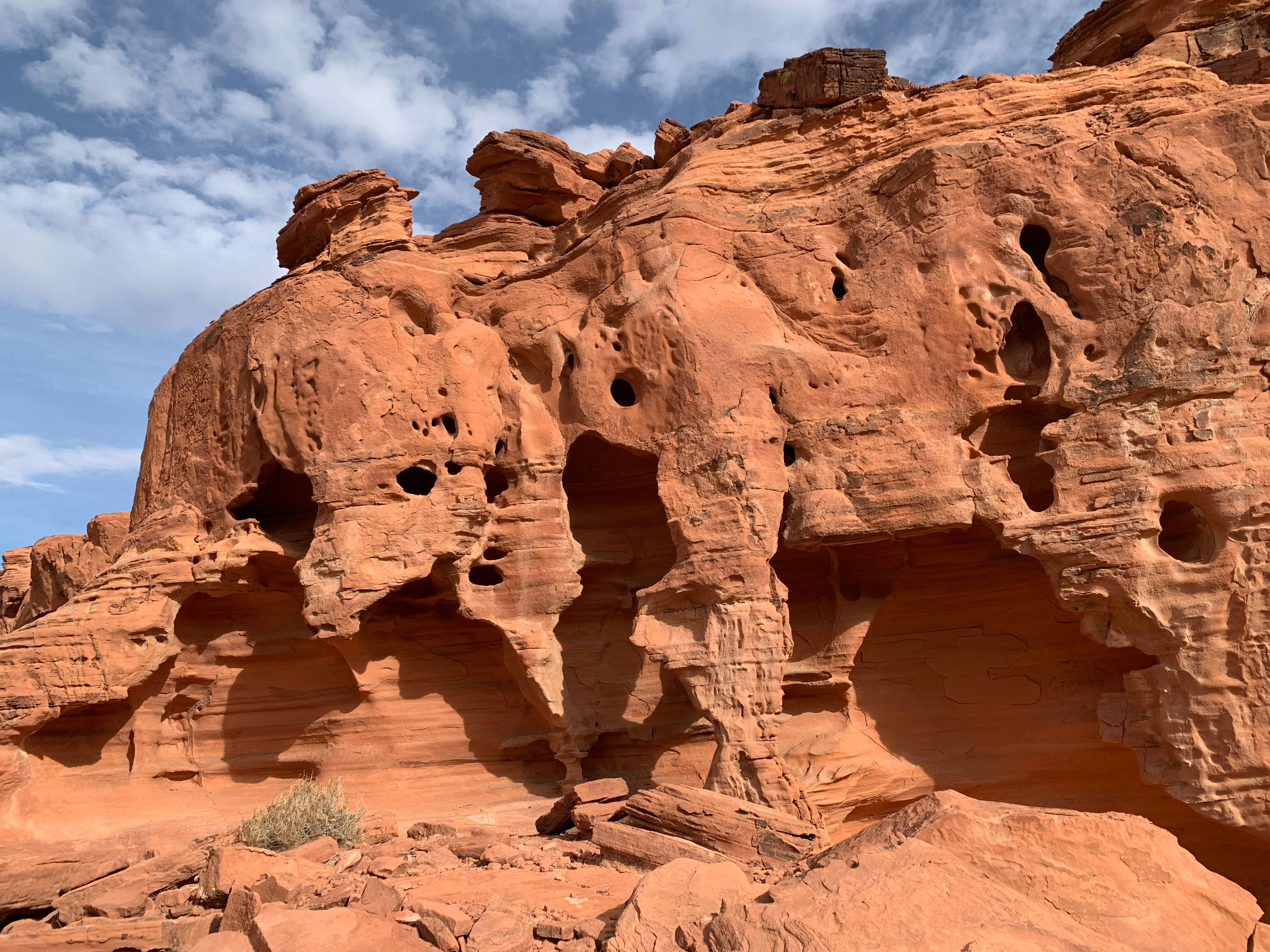 Nevada